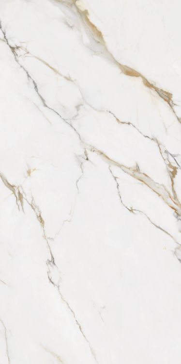 Time Dorado Polished 24 x 48